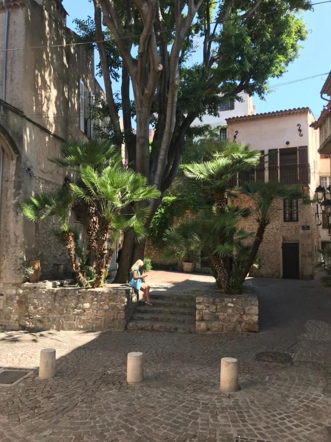Antibes Tres Belle Situation ! 아파트 외부 사진