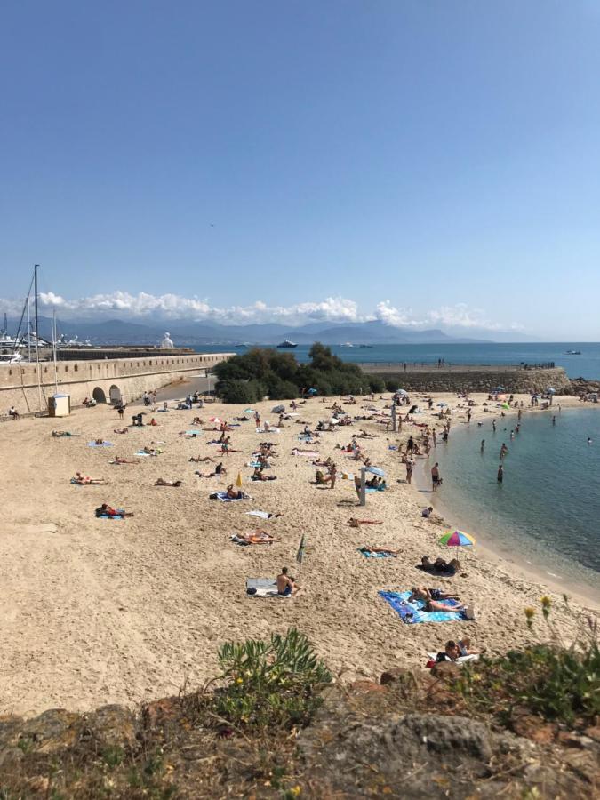 Antibes Tres Belle Situation ! 아파트 외부 사진