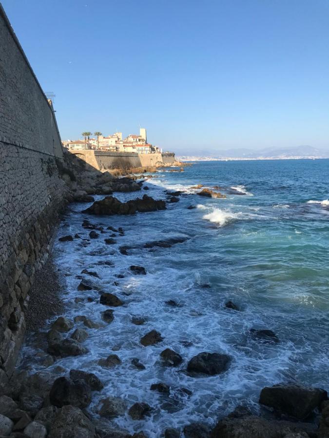 Antibes Tres Belle Situation ! 아파트 외부 사진